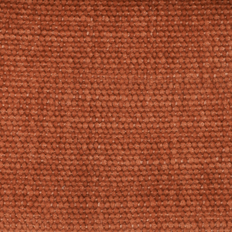 Lino - Image 14