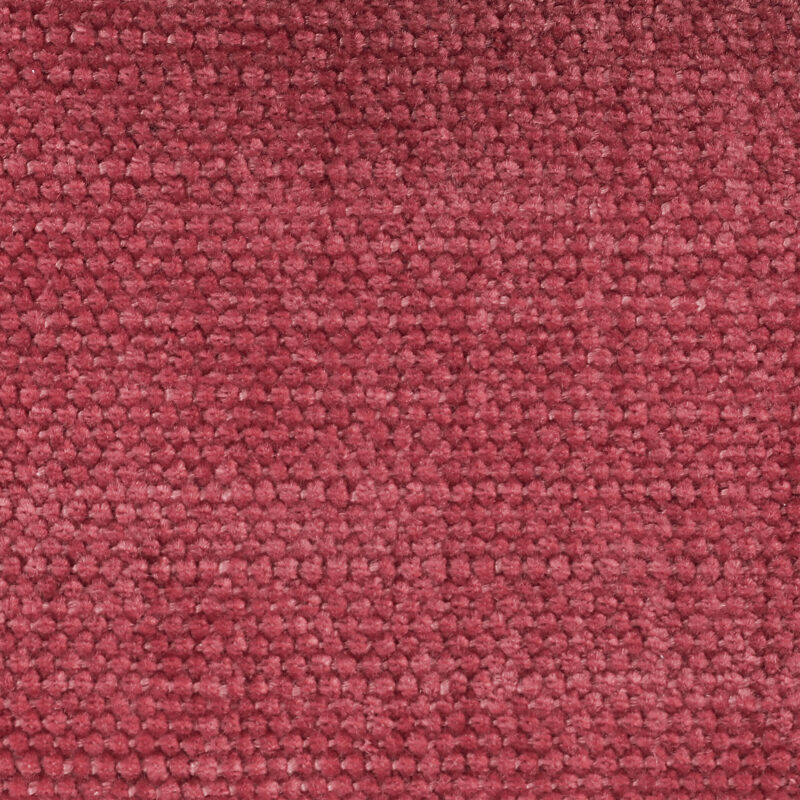 Lino - Image 10